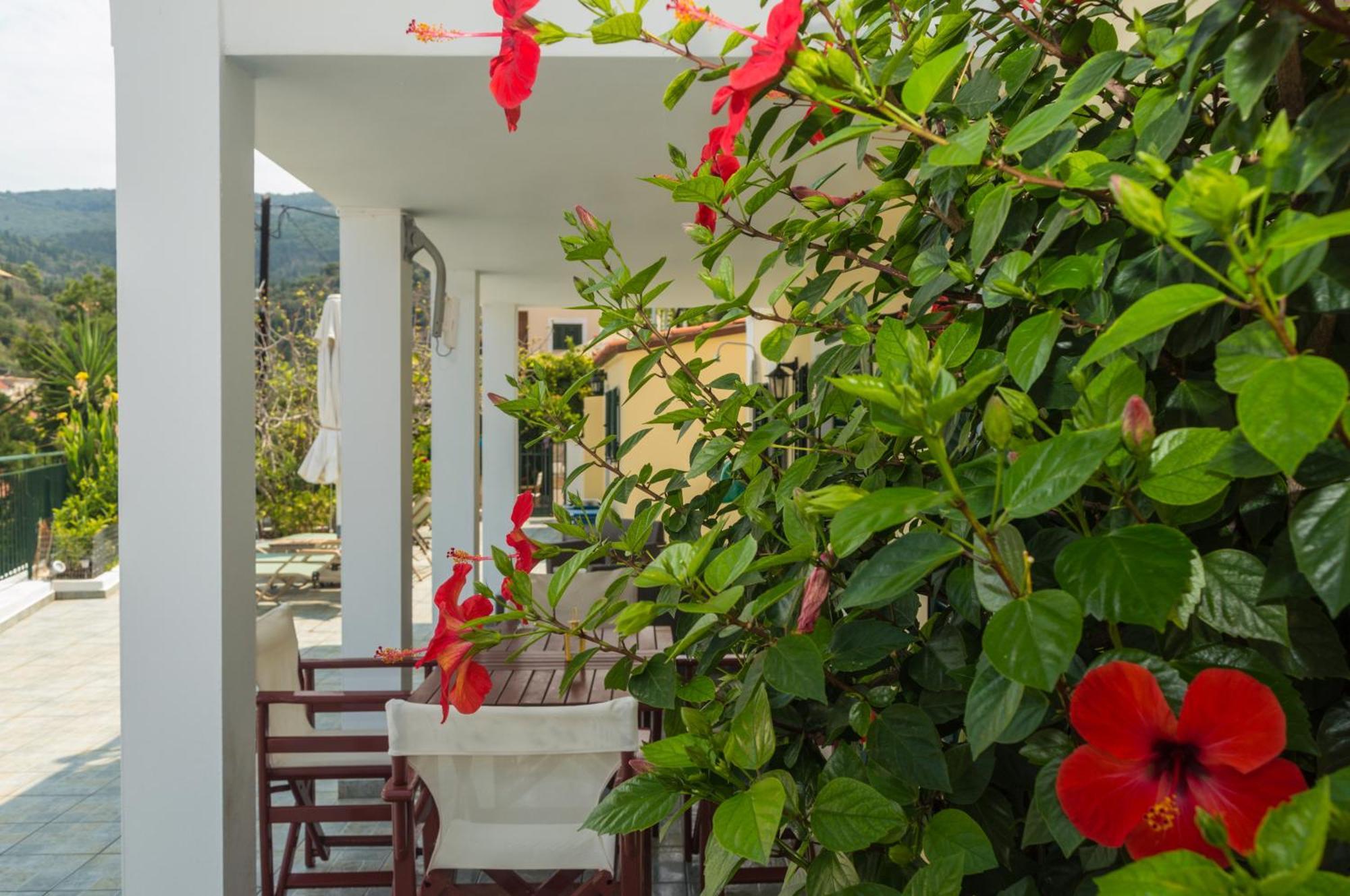 Dionos Villa Asos Exteriér fotografie