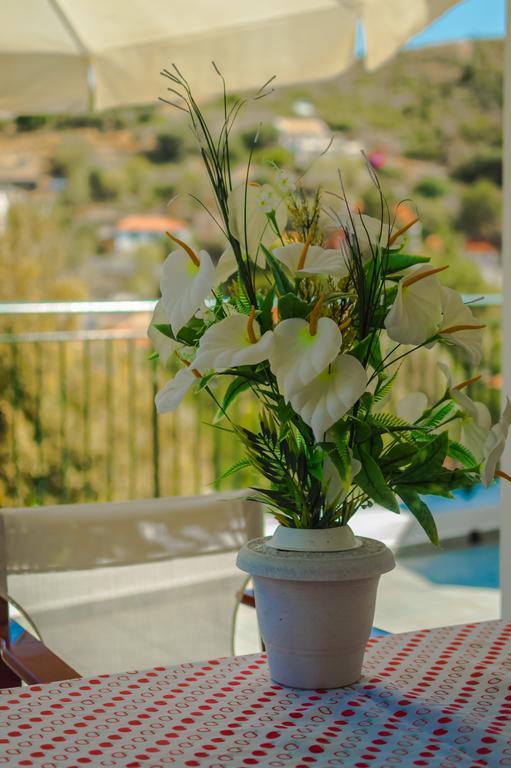 Dionos Villa Asos Exteriér fotografie